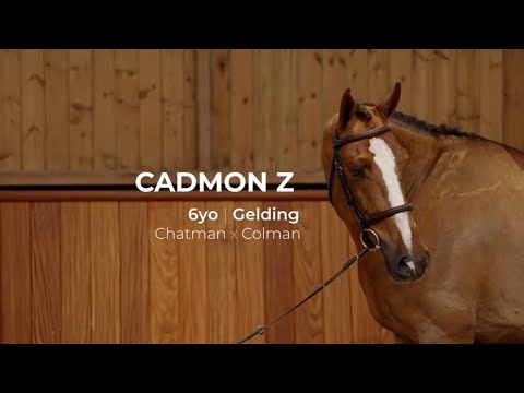 8. Cadmon Z | Profile