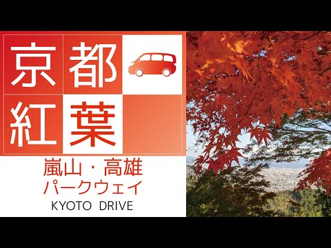 【KYOTO DRIVE】京都の紅葉名所「嵐山・高雄パークウェイ」