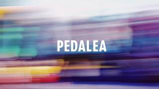Pedalea Music Video