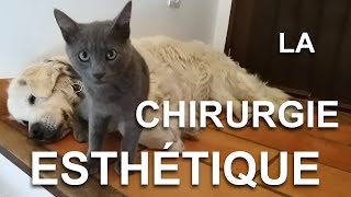 088 LA CHIRURGIE ESTHÉTIQUE