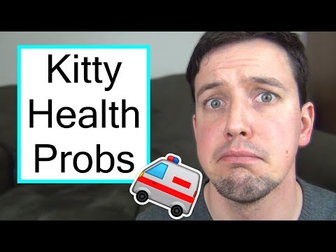 5 Common Cat HEALTH PROBLEMS and What to Look For