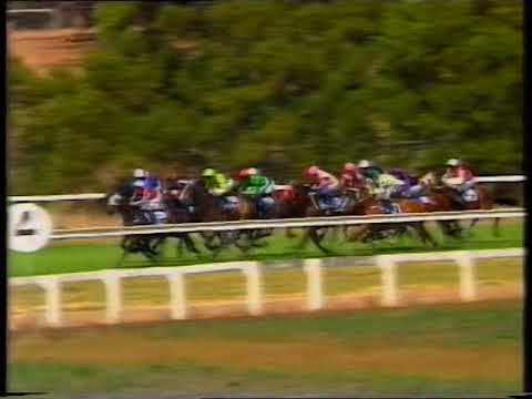 1995 Colac Gold Cup