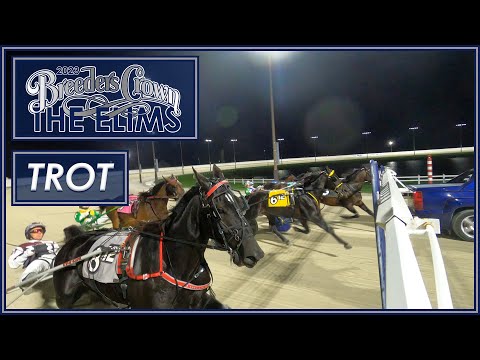 2023 Breeders Crown Elim - Open Trot