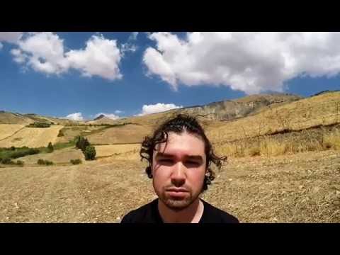 AT-AT - Without U (Official Visual Transportation Adapter)