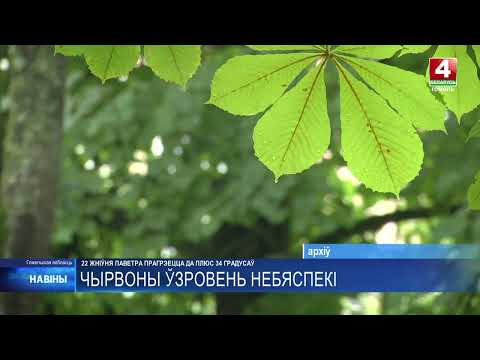 Красный уровень опасности объявлен на Гомельщине видео