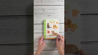 Malé kroky - Zvířata 12+ měsíců