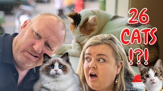 Cat Cafe Sanur Bali | Motorbike Hire | VOA Extension | Bali Vlog 14