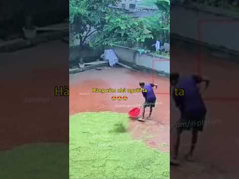 Hàng xóm nhà người ta 😍 #hangxom #viectot #camdong #cuocsong #hanhphuc #vuive