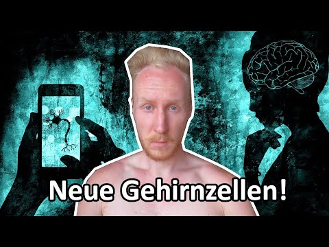 Neurogenese: Wie dein Gehirn sich selbst erneuern kann