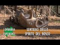 CANZO Alla Ricerca Degli Spiriti Nel Bosco Tra Fantasia Ed Immaginazione
