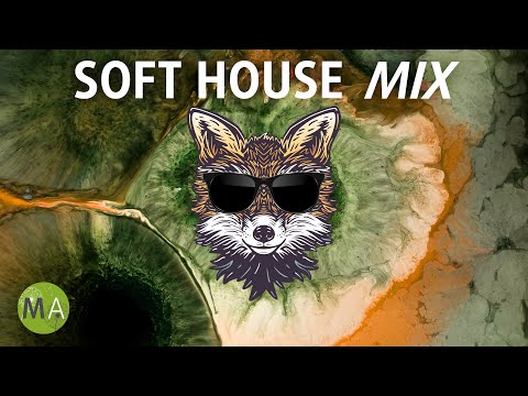 Peak Focus Soft House Study Music with Beta Isochronic Tones - Fox Mix