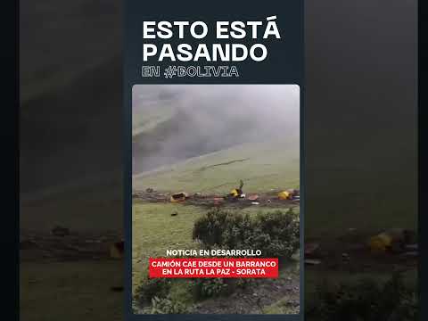 CAMIÓN CAE A UN BARRANCO EN LA RUTA A SORATA