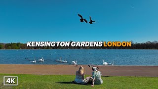 London Comes Alive! 🌞 First Warm Spring Day in Kensington Gardens | Walking Tour