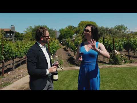 2016 De Martino Viejas Tinajas Cinsault Itata Valley Chile