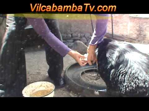 download lagu mp3 mp4 Jack Ears, download lagu Jack Ears gratis, unduh video klip Jack Ears