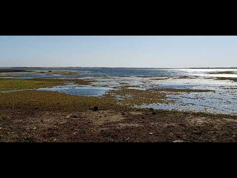 Rio Tietê, em Pereira Barreto, Sp. Curando o stress...