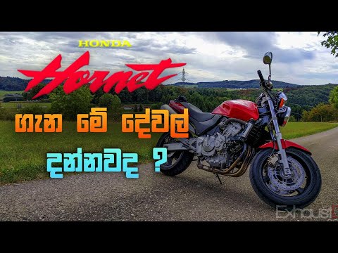 HONDA HORNET  පවුලෙ කතාව -story of Honda Hornet family (sinhala)