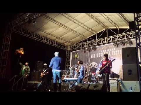 Liberty Gong - Babylon (Live at Agrifest 2016)