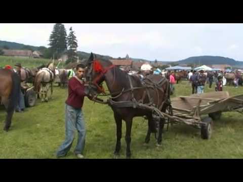 Jahrmarkt in Iacobeni