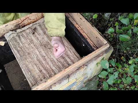 Пчеловодство.Роеловство. Замена пчеломатки в летнем рою перед зимовкой.Подготовка пчёл перед зимой.