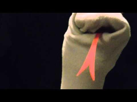 Going to the Animals