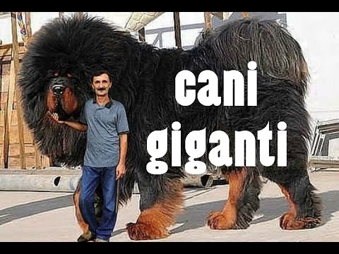Trattamento sanatorio di giunti in Russia Protrusione polysegmental del disco della colonna vertebrale cervicale
