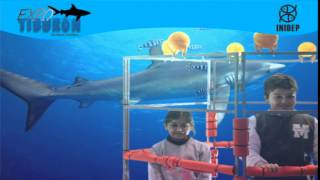 DIA 2 Expo Tiburon168