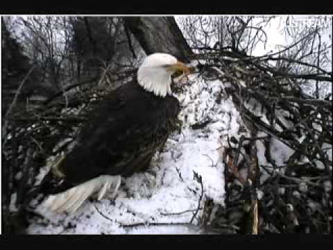 Dec 30 445 pm Mom and Dad stop in for a few minutes