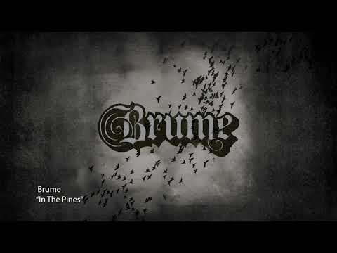 Brume - In The Pines