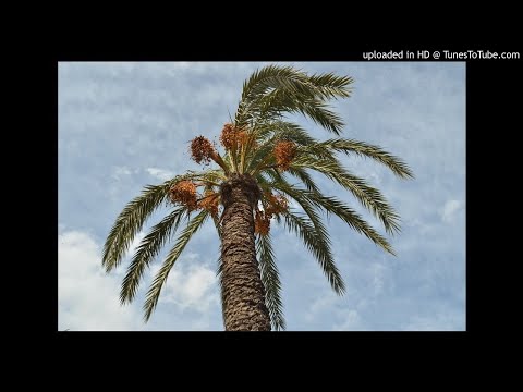 Surah Ta-Ha - Tafseer 9-16 English