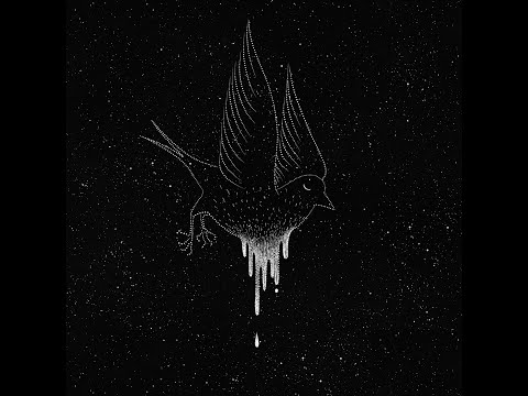 Wintergatan - Sommarfågel (Music Box Version)