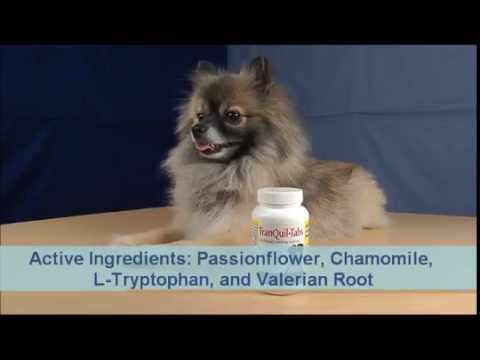 TranQuil-Tabs for Dogs (60 Tablets) Video