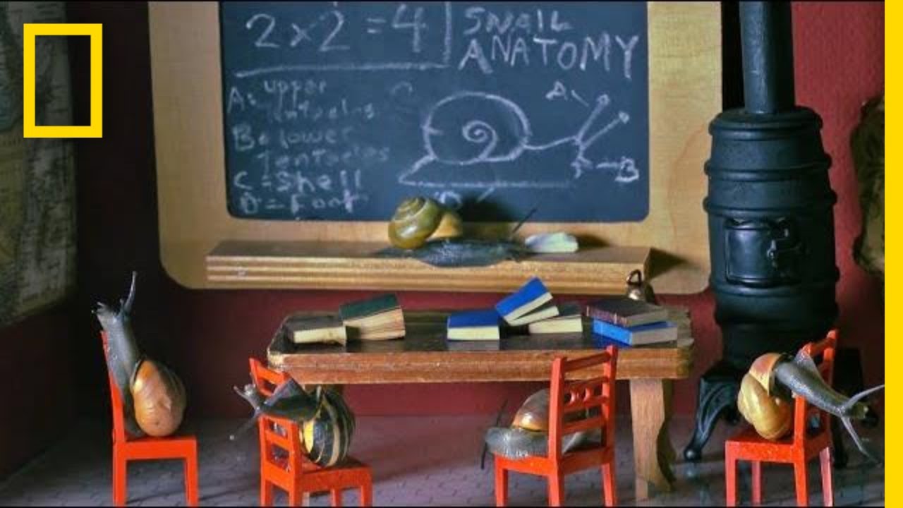 The 10 Best Documentaries About Snails