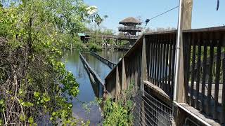 Gatorland - Gator Gauntlet