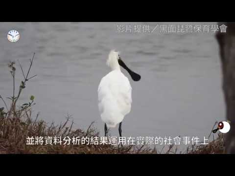 一同參與公民科學 黑面琵鷺保育網