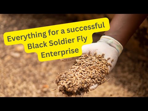 , title : 'Black Soldier Fly (BSF) Farming: Every thing to consider while establishing a BSF enterprise.'
