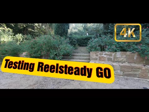 testeando-el-reelsteady-go