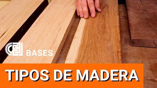 Tipos de madera. Qué madera usar Qué diferencia hay entre pino y encino - BASES de la Carpinteria