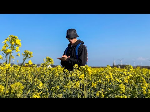 DREWSESSION - ŽLUTEJ CAMEL (one take video)