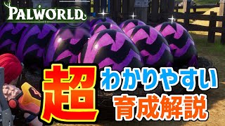 【パルワールド】ステータス理論値と成長の法則について解説します（解析情報含む）【PALWORLD】