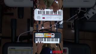Video thumbnail for Yamaha  PSS e30 and PSS F30 - Two little wonders by Thomsun Music House Cochin