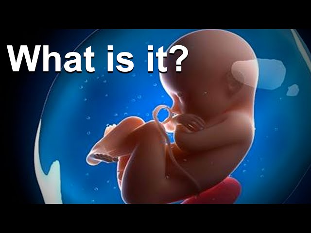 הגיית וידאו של amniotic fluid בשנת אנגלית