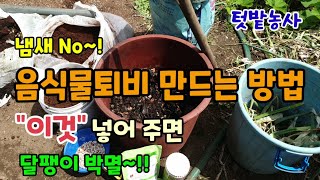 음식물퇴비 만들기 "이것" 함께 넣어주면 김장무배추등을 먹어치우는 달팽이도 퇴치하고 병과 충도 예방해요 커피…
