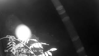 DSGC Cam 1 - Facing SouthEast