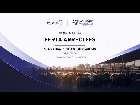 FERIA ARRECIFES
