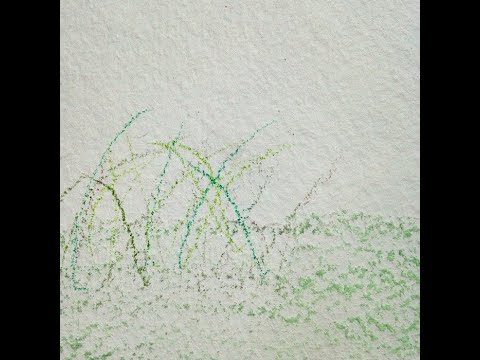 Echo Lane Afterschool Sleep & Swim Etc. - Sofa Safari (FULL ALBUM - 2015 - Summer Ambient/Drone)