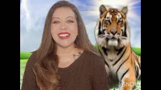 MEU GESTOR EM NDA #motivacional #gratidão #persistência #força 