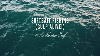 Fishing in Persian Gulf with Berkley Gulp! Alive! Scented Soft Baits