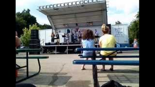 Ferguson street fest 2013