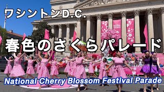 ワシントンD.C.桜祭りパレード・海外の反応・日本感・2026年4月11日 Washington DC Cherry Blossom Festival